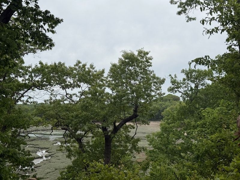 View of salt marsh from Back River Trail image. Click for full size.
