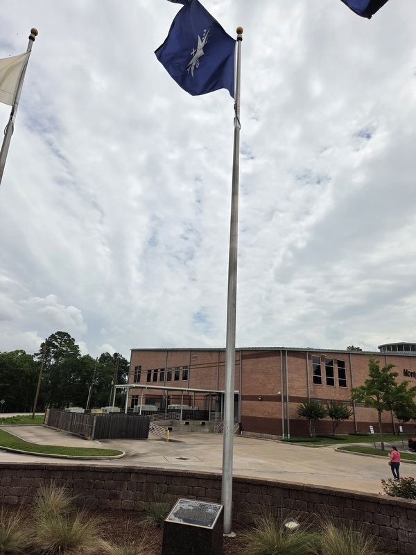 First Flag of the Republic Flag and Marker image. Click for full size.