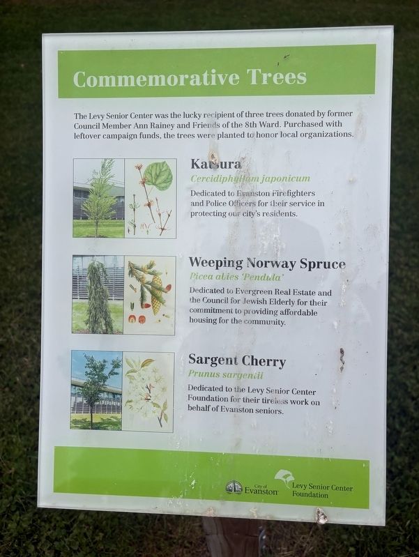 Commemorative Trees Marker image. Click for full size.