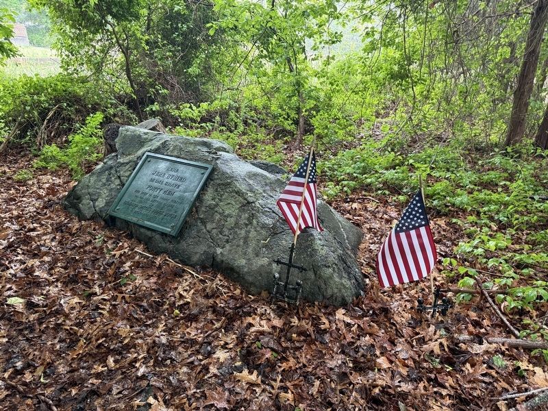 Here Were Bvried Marker image. Click for full size.
