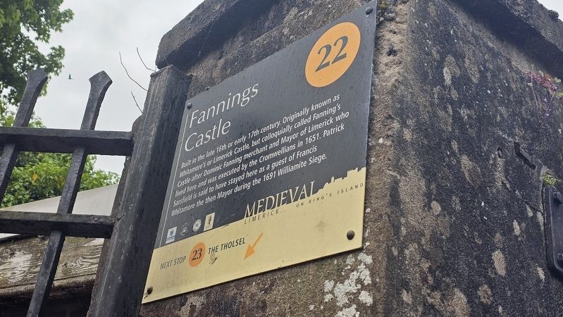 Fannings Castle Marker image. Click for full size.