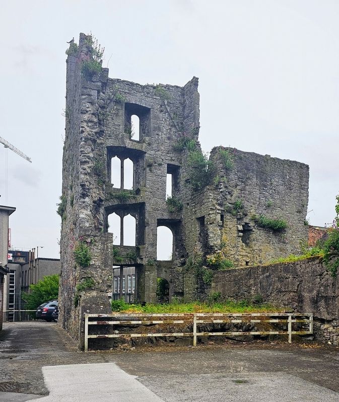 Fannings Castle Marker image. Click for full size.