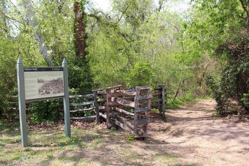 Tobacco Road trace to the right. image. Click for full size.