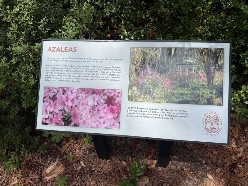 Azaleas Marker. Click for full size. Azaleas Marker image. Click for full size.