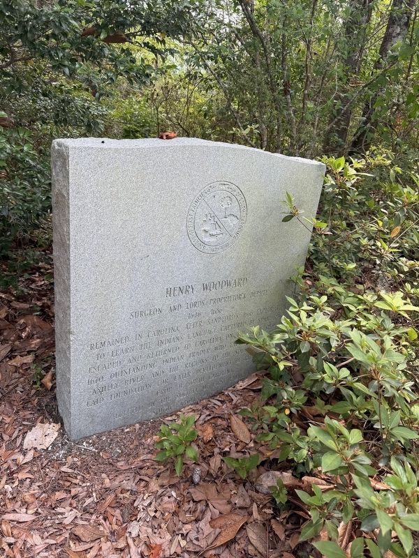 Henry Woodward Marker image. Click for full size.