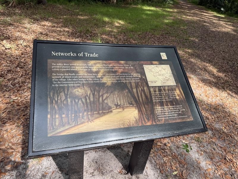 Networks of Trade Marker image. Click for full size.