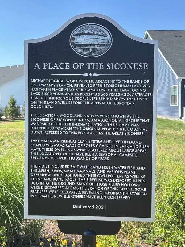 A Place of the Siconese Marker image. Click for full size.