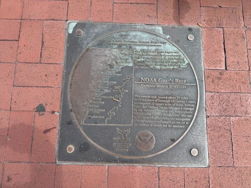 Gray's Reef National Marine Sanctuary Marker image. Click for full size.