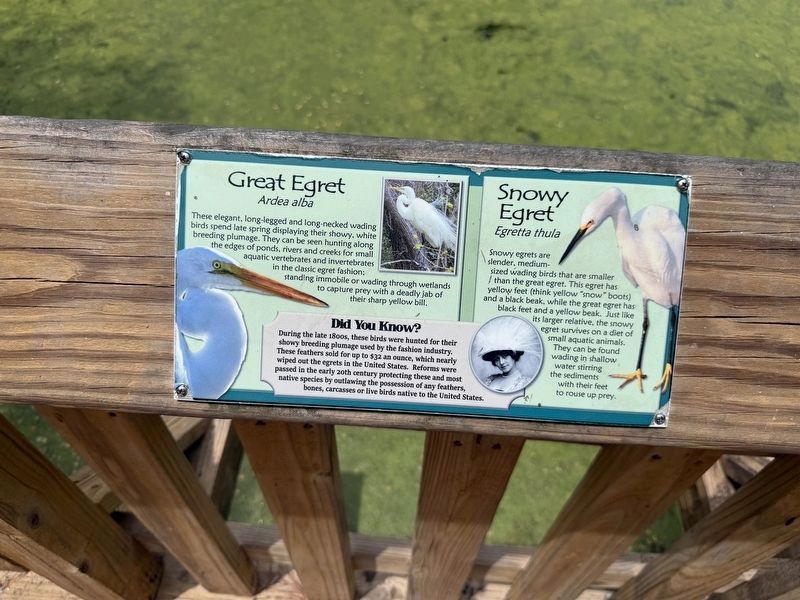 Great Egret / Snowy Egret Marker. Click for full size. Great Egret / Snowy Egret Marker image. Click for full size.