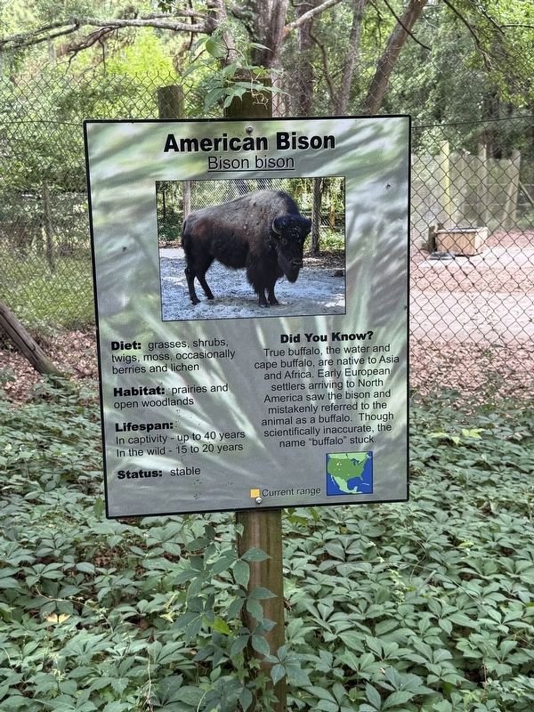 American Bison Marker image. Click for full size.