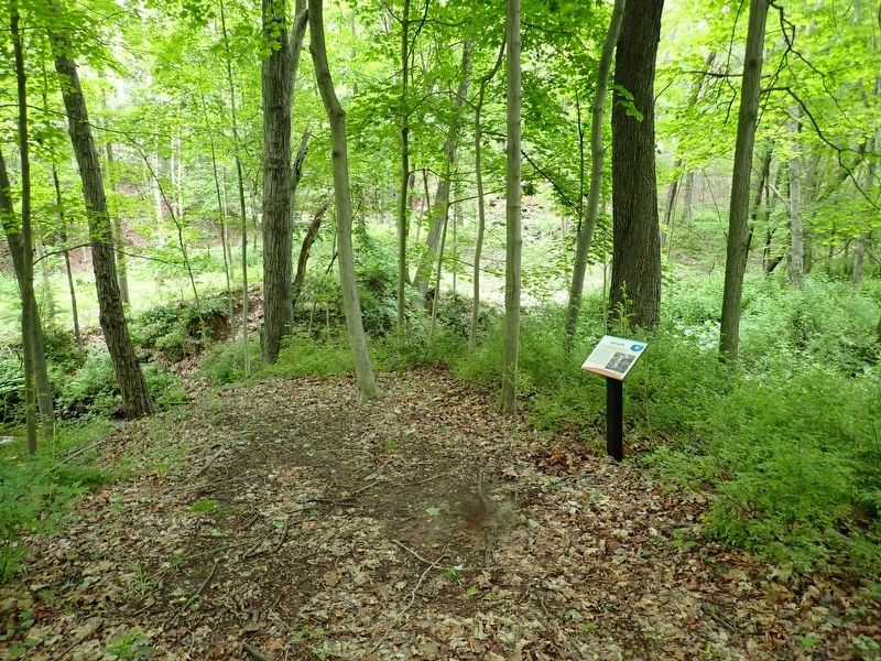 Butler Saw Mill Marker image. Click for full size.