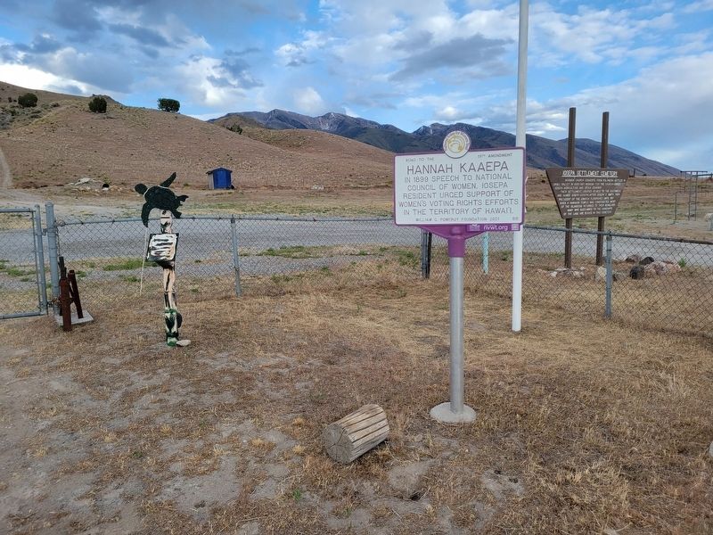 Hanna Kaaepa Marker image. Click for full size.
