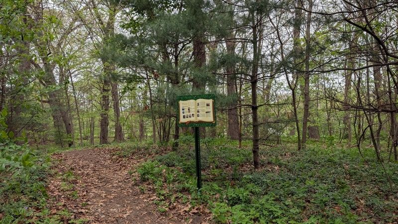 Munster <u>Her</u>story Marker in context image. Click for full size.