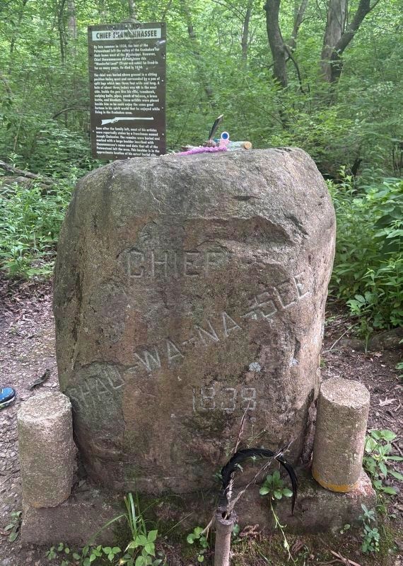 Chief Shawannassee Marker and his gravesite image. Click for full size.