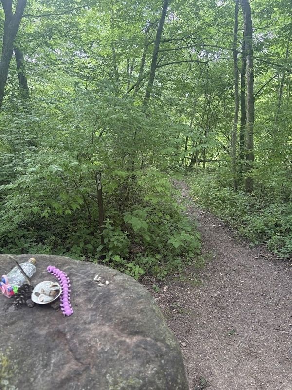 Chief Shawannassee's boulder on the Shawannassee Trail image. Click for full size.