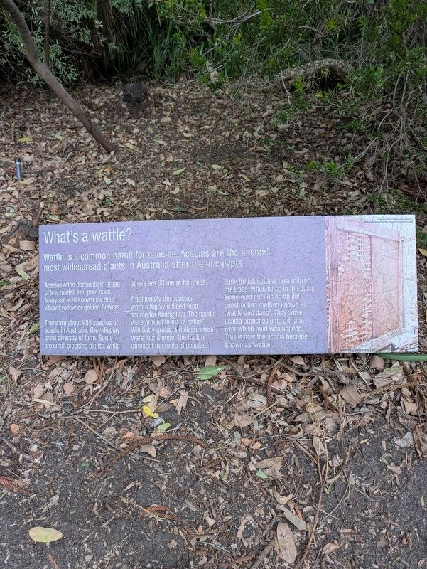 The Wattle Marker. Click for full size. The Wattle Marker image. Click for full size.
