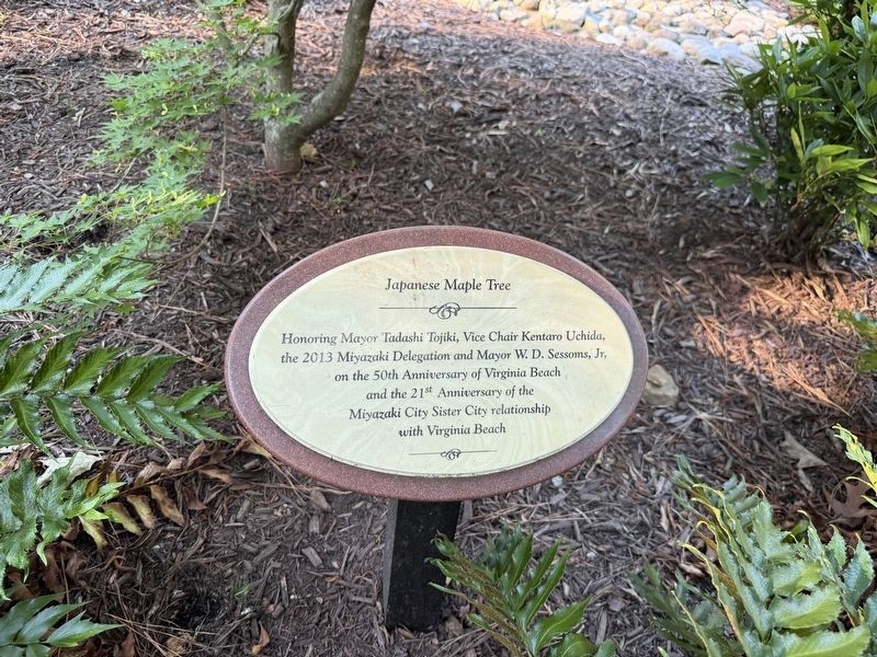 Japanese Maple Tree Marker image. Click for full size.