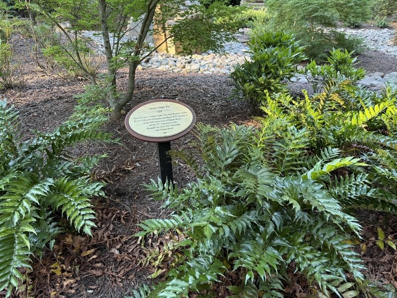Japanese Maple Tree Marker image. Click for full size.