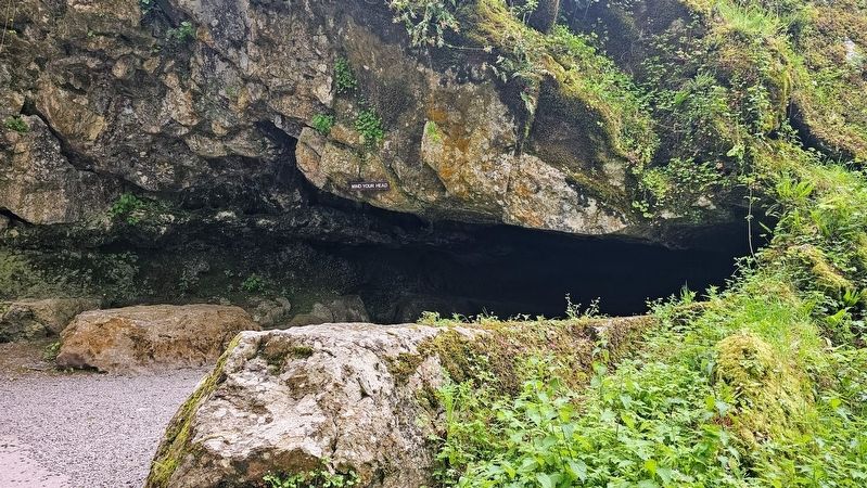 Badgers Cave Marker. Click for full size. Badgers Cave Marker image. Click for full size.