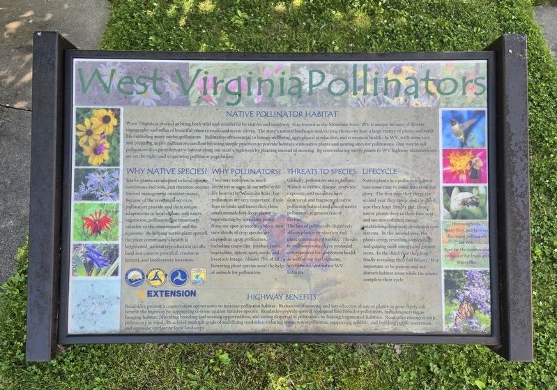 West Virginia Pollinators Marker image. Click for full size.