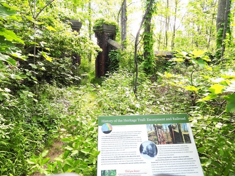 The gate in Randwood's perimeter wall, near its rail platform image. Click for full size.