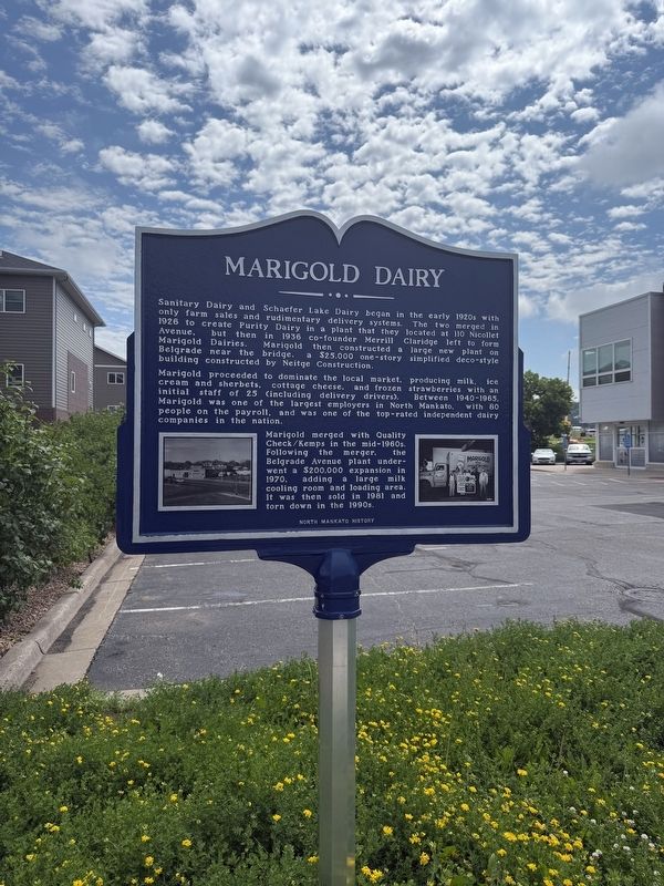 Marigold Dairy Marker. Click for full size. Marigold Dairy Marker image. Click for full size.