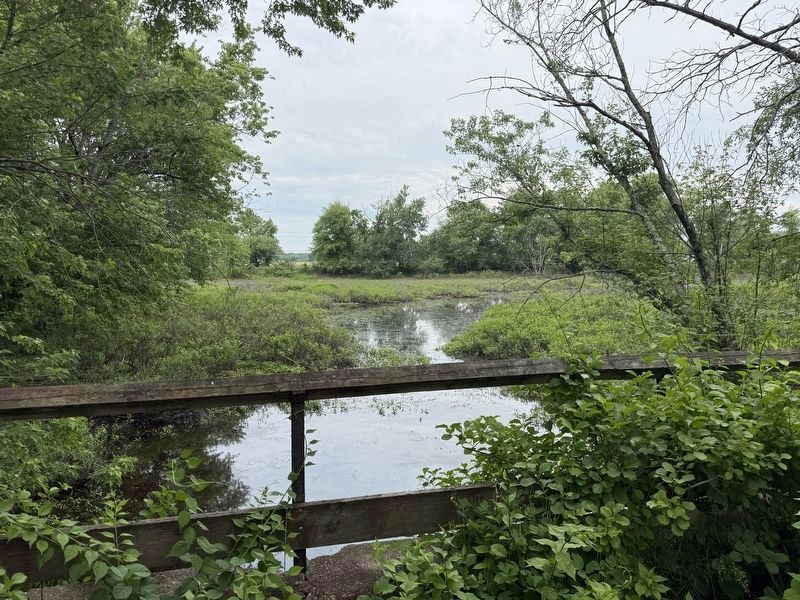 A View from Old Town Bridge. Click for full size. A View from Old Town Bridge image. Click for full size.