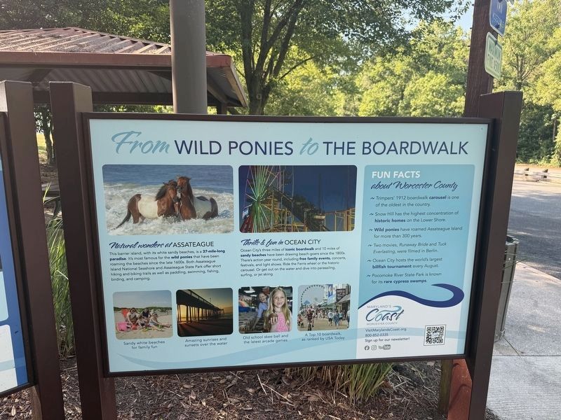From Wild Ponies to the Boardwalk Marker image. Click for full size.