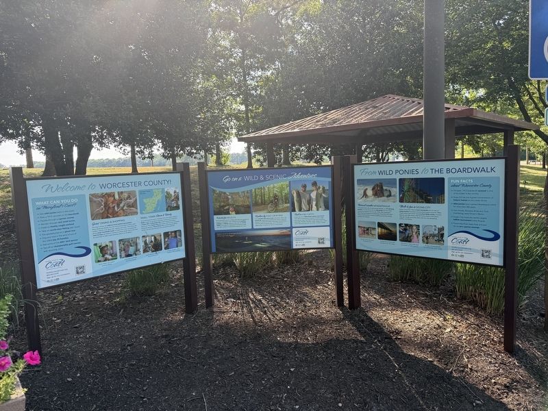Signs on display outside of the Welcome Center near Pocomoke City image. Click for full size.