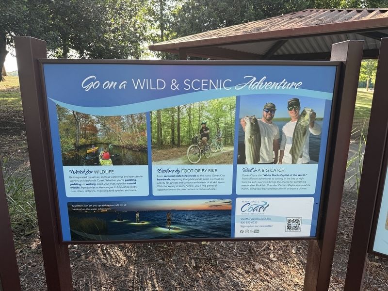 Additional signage at the display image. Click for full size.
