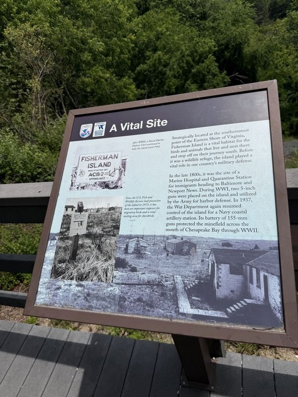 A Vital Site Marker. Click for full size. A Vital Site Marker image. Click for full size.