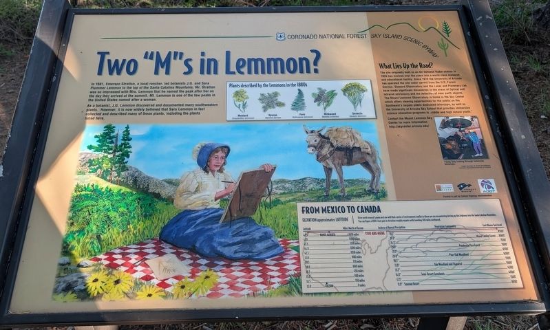Two "M"s in Lemmon? Marker image. Click for full size.