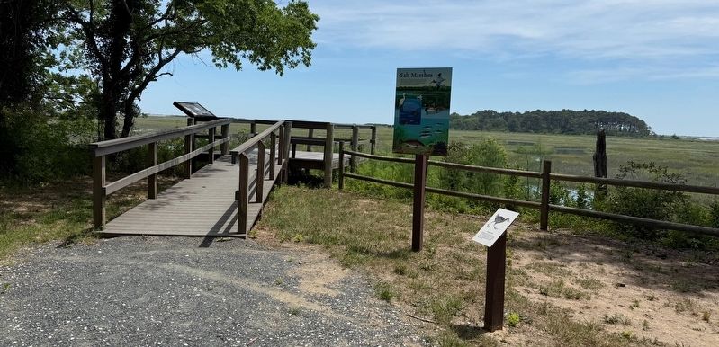 Display with several interpretive signs image. Click for full size.