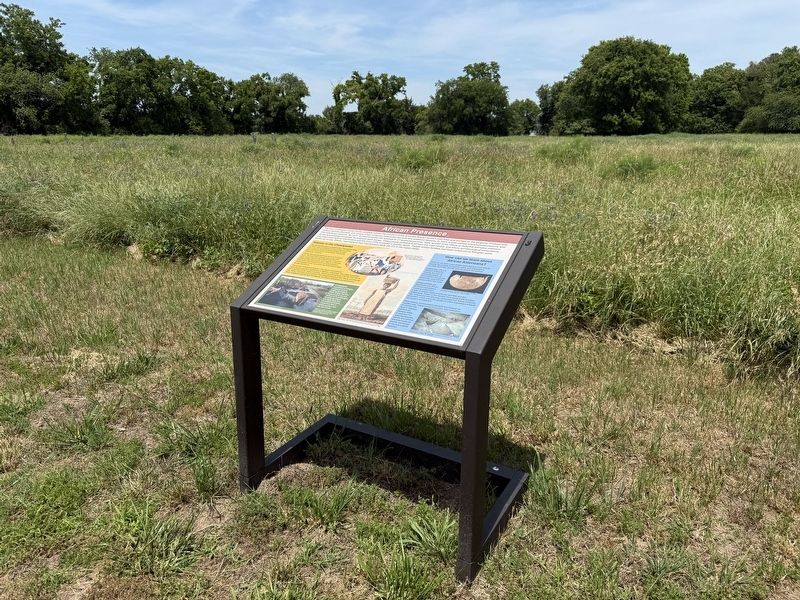 African Presence Marker image. Click for full size.