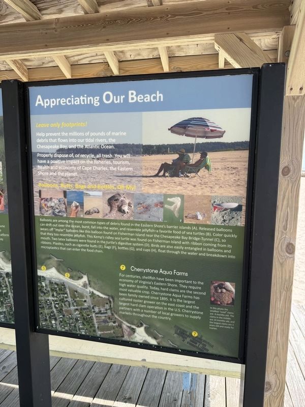Appreciating Our Beach side of the marker. Click for full size. Appreciating Our Beach side of the marker image. Click for full size.
