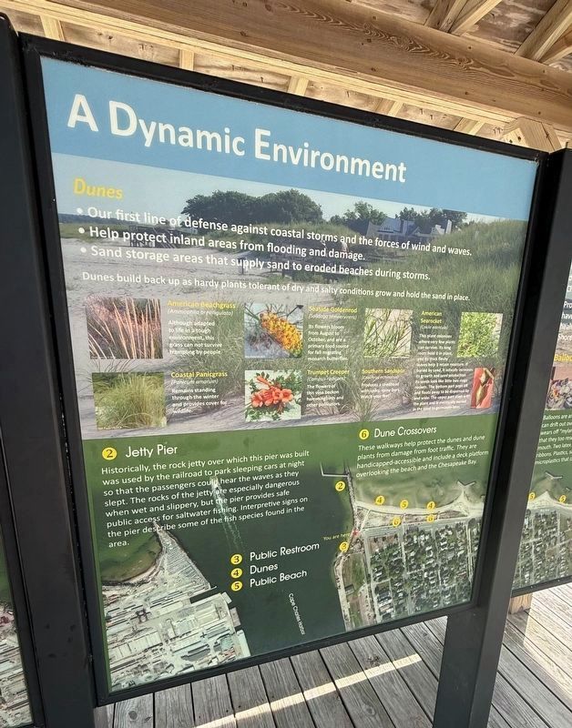 A Dynamic Environment Marker image. Click for full size.