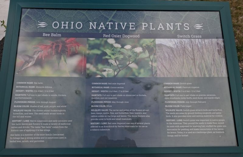 Ohio Native Plants Marker. Click for full size. Ohio Native Plants Marker image. Click for full size.