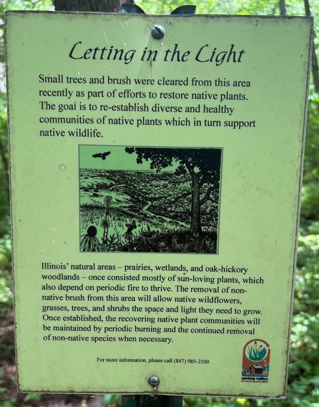 Letting in the Light Marker. Click for full size. Letting in the Light Marker image. Click for full size.