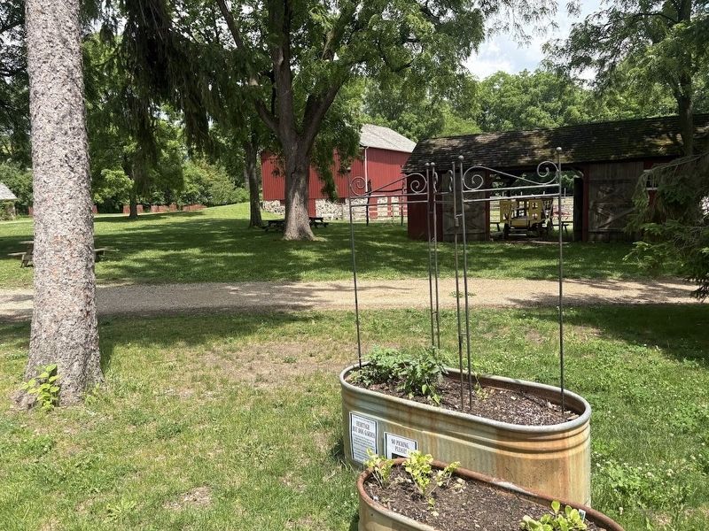 Heritage Hot Dog Garden at Volkening Heritage Farm image. Click for full size.