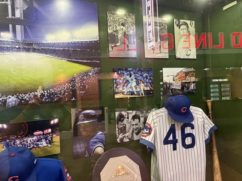 Display case items. Click for full size. Display case items image. Click for full size.