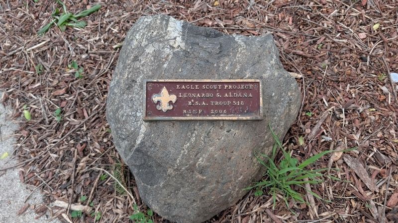 Plaque on the small rock next to Metasequoia (Dawn Redwood) Marker. Click for full size. Plaque on the small rock next to Metasequoia (Dawn Redwood) Marker image. Click for full size.