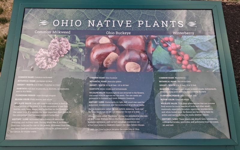 Ohio Native Plants Marker. Click for full size. Ohio Native Plants Marker image. Click for full size.