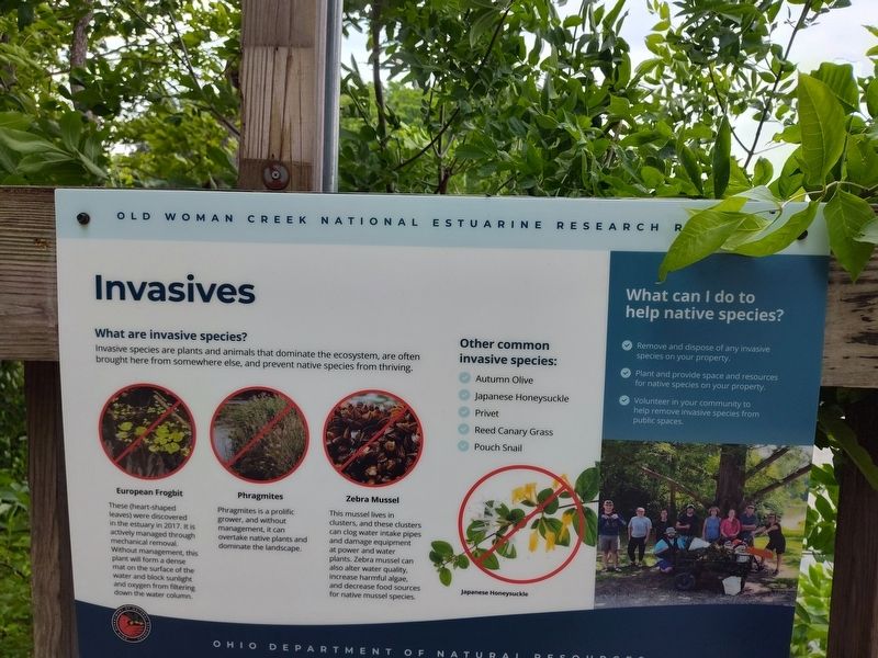Invasives Marker image. Click for full size.