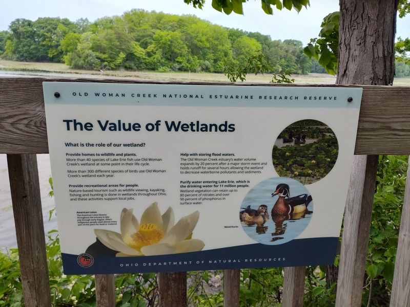The Value of Wetlands Marker. Click for full size. The Value of Wetlands Marker image. Click for full size.