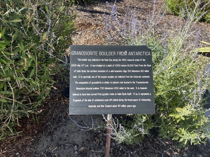 Granodiorite Boulder From Antarctica Marker image. Click for full size.