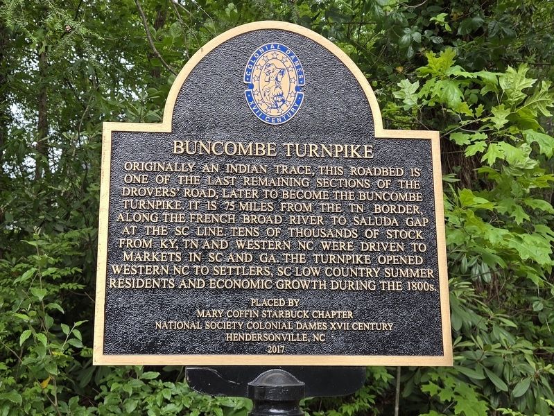 Buncombe Turnpike Marker image. Click for full size.