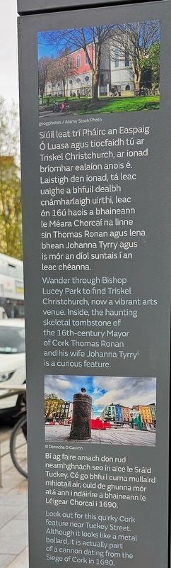 P�irc an Easpaig � Luasa / Bishop Lucey Park Marker image. Click for full size.