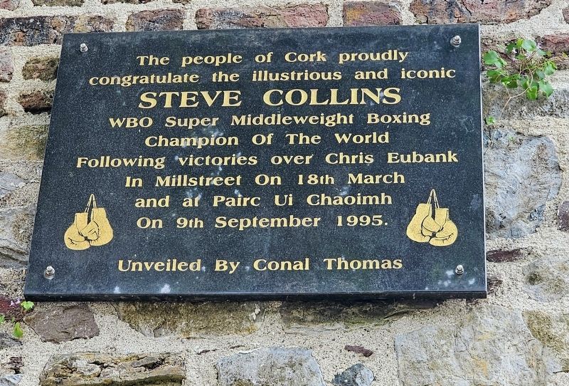 Steve Collins Marker. Click for full size. Steve Collins Marker image. Click for full size.