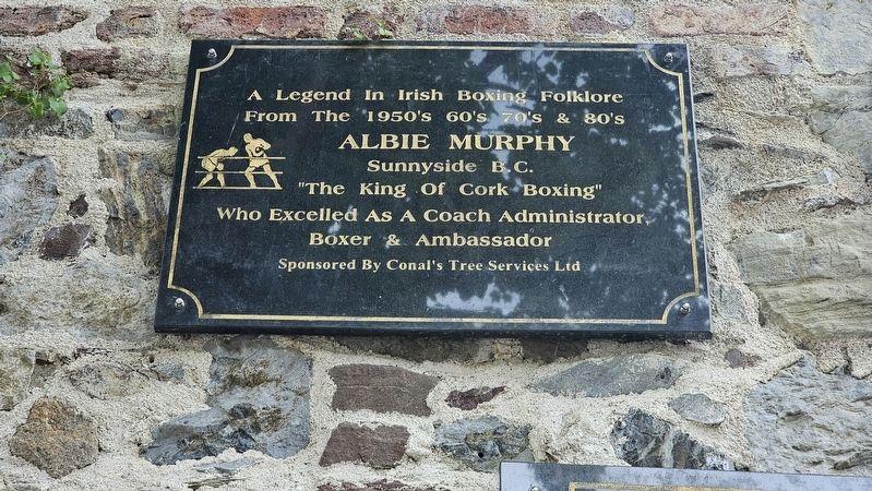 Albie Murphy Marker. Click for full size. Albie Murphy Marker image. Click for full size.
