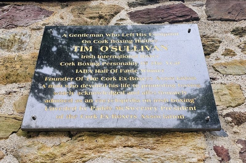 Tim O'Sullivan Marker. Click for full size. Tim O'Sullivan Marker image. Click for full size.